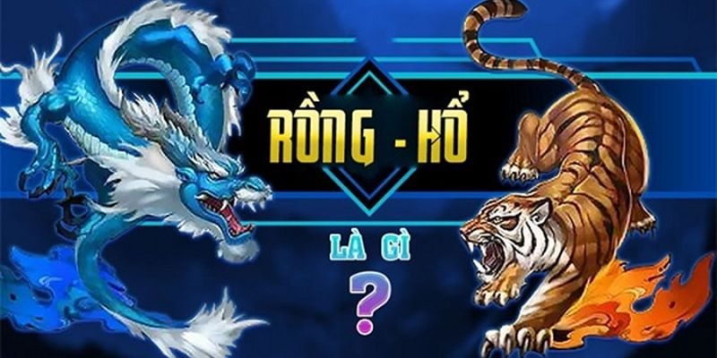 Rồng hổ Sv388 có gì đặc biệt?